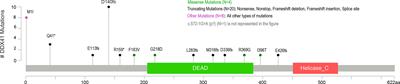 Next-Generation Sequencing of DDX41 in Myeloid Neoplasms Leads to Increased Detection of Germline Alterations